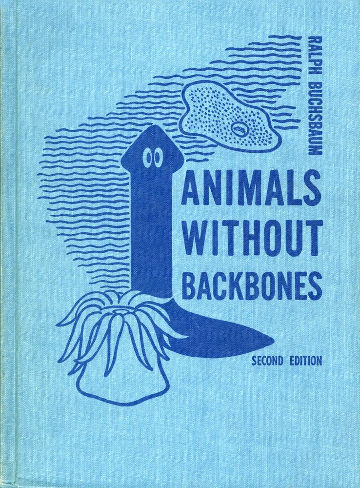 a book titled Animals Without Backbones that has been illustrated by Ralph Buchsbaum, his flatworm drawing inspired by Escher's drawing