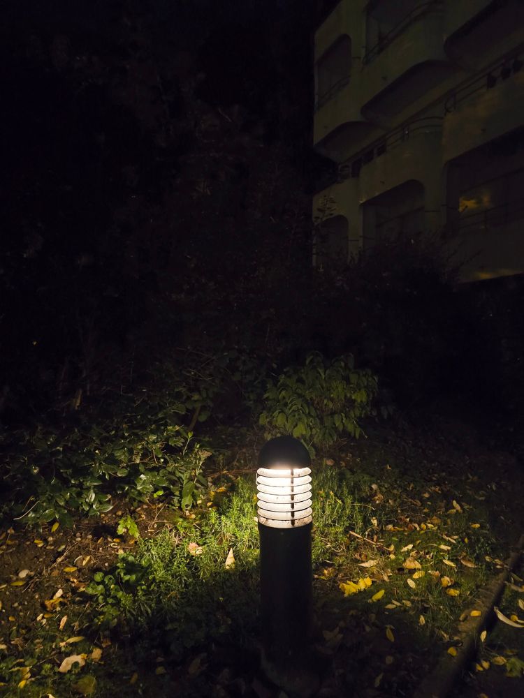 Petite lampe le soir au milieu des herbes et des buissons