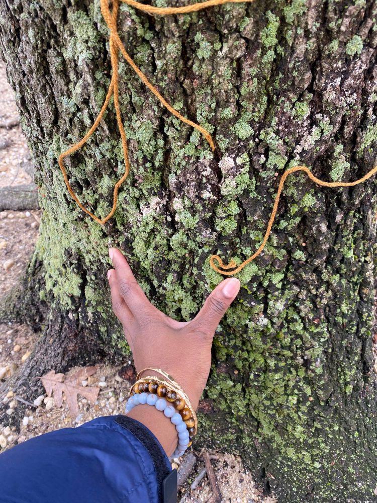 Simone’s hand touching moss (grass 😉) on a tree. 