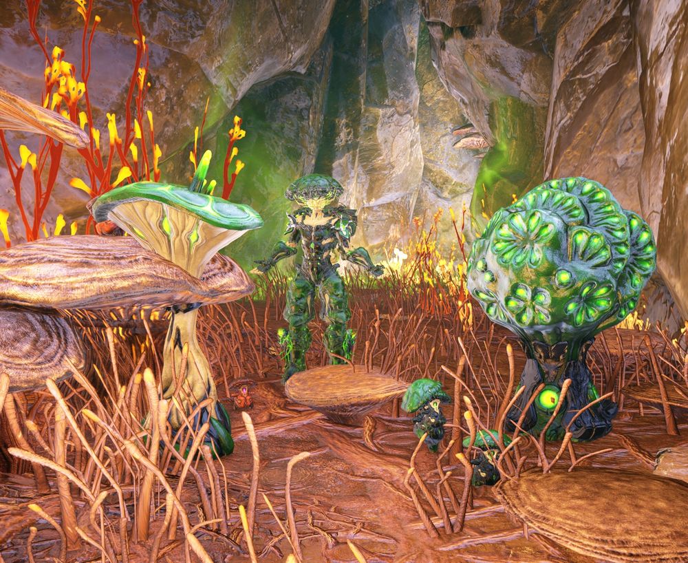 Nokko among the mushrooms.