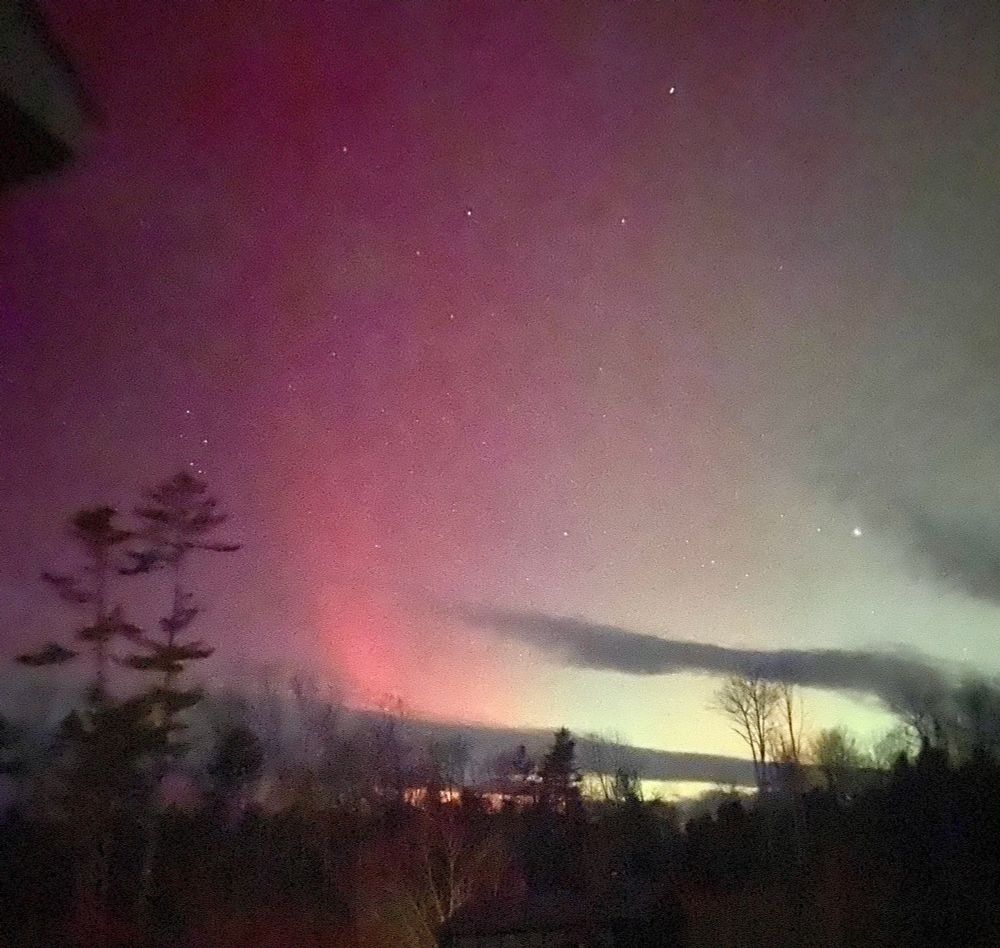 Red and yellow aurora over forest