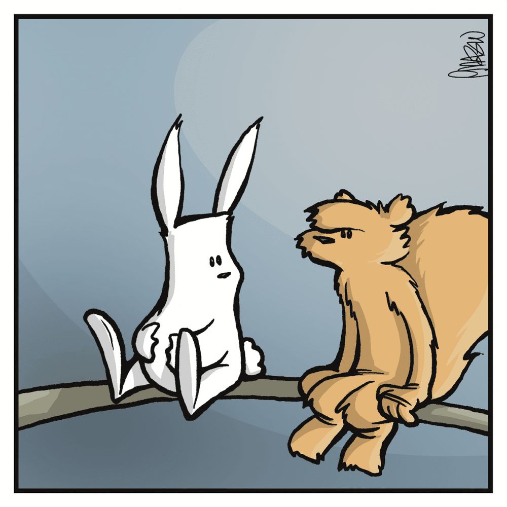 The rabbit looks at the squirrel. The Sun is lower in the sky.