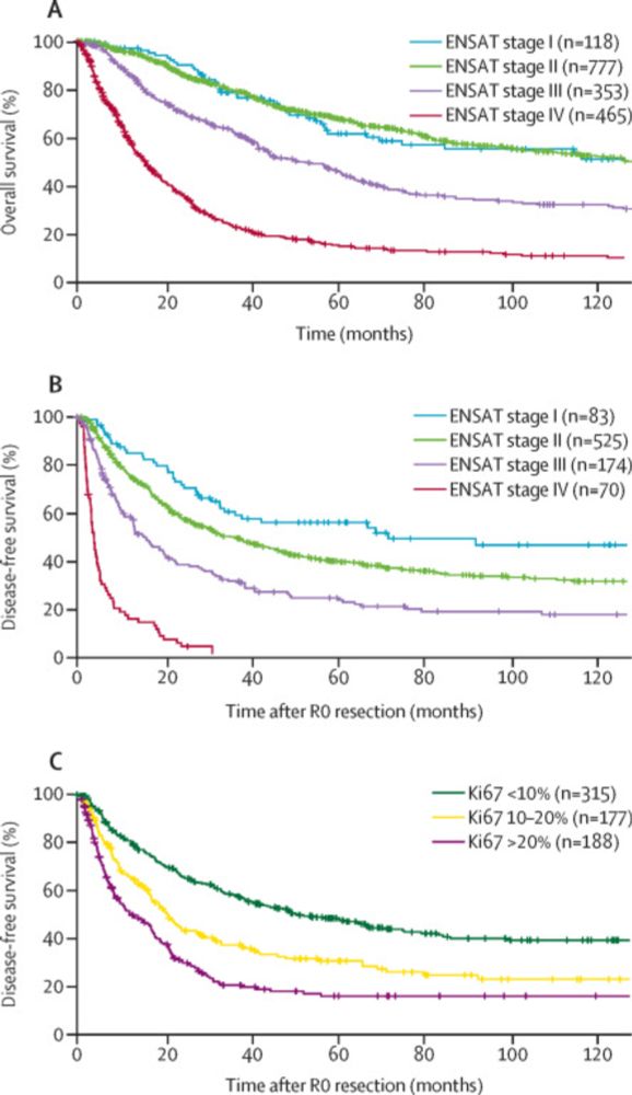 Adrenocortical carcinoma: a practical guide for clinicians
