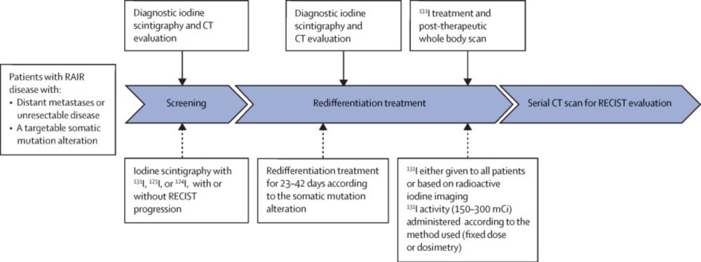 Redifferentiation therapy in unresectable or metastatic radioactive iodine refractory thyroid cancer: an International Thyroid Oncology Group statement