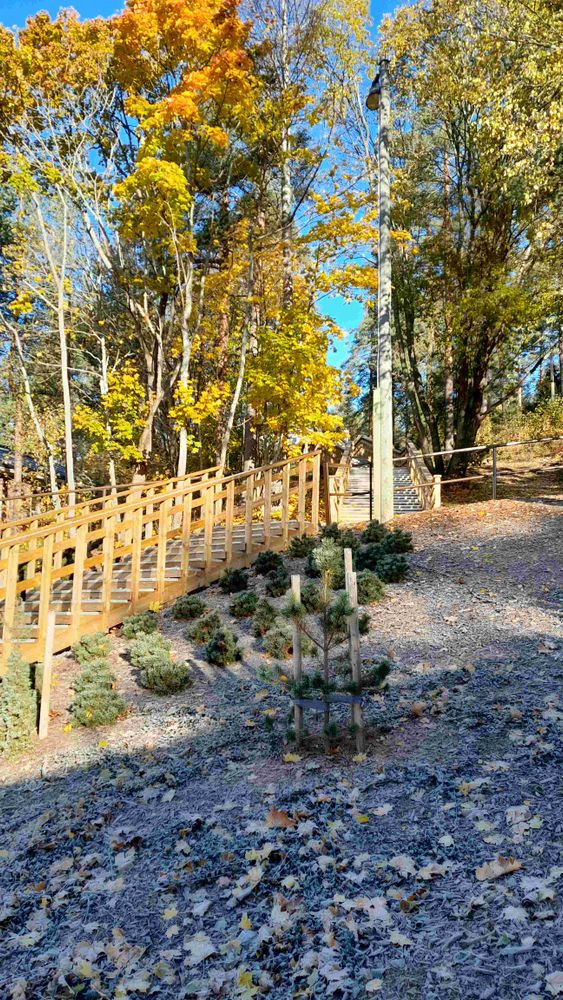 Kuntoportaat syysauringossa.