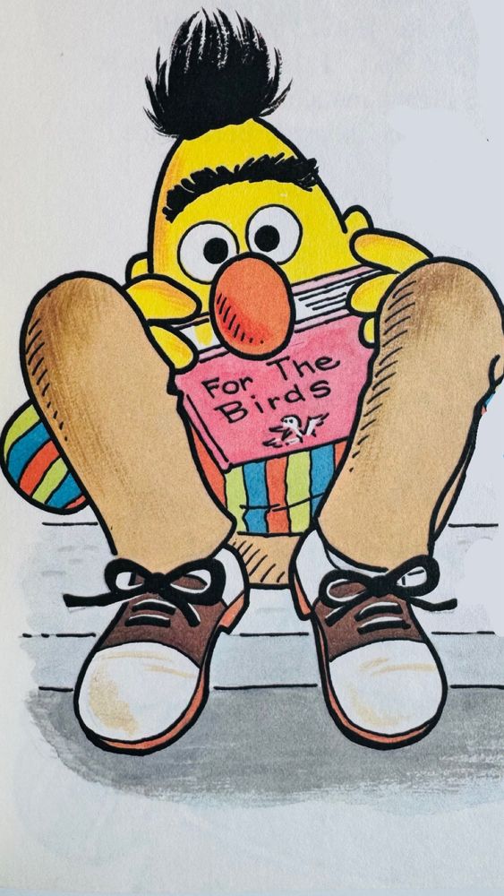 Bert from Sesame Street reading a book called “For the Birds.”