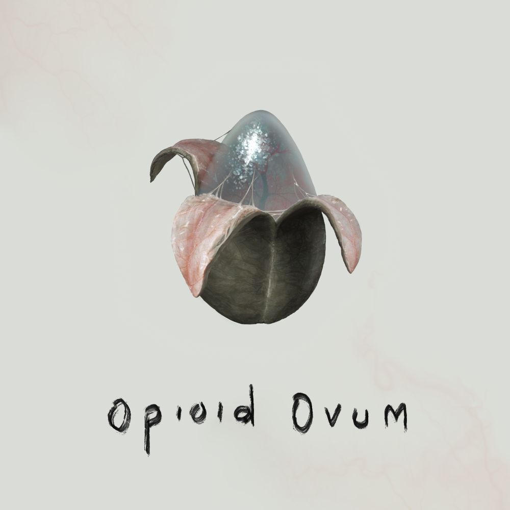 Cover art for the single Opioid Ovum by Shiloh Bauer. It depicts a translucent egg with a glistening, gelatinous surface and sections of leathery skin that slowly open down the structure from the top, like fleshy flower petals. Veins indicate that there is something gestating inside the egg, but it cannot be seen; the mottled jelly structure of the egg scatters the light, obscuring the image of whatever rests inside. 
