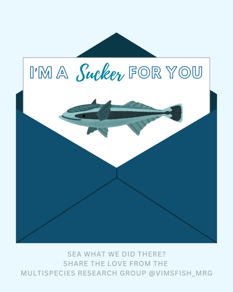 I'm a sucker for you