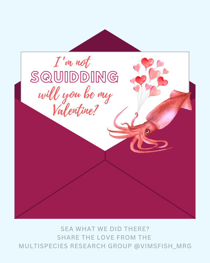 I'm not squidding will you be my Valentine?