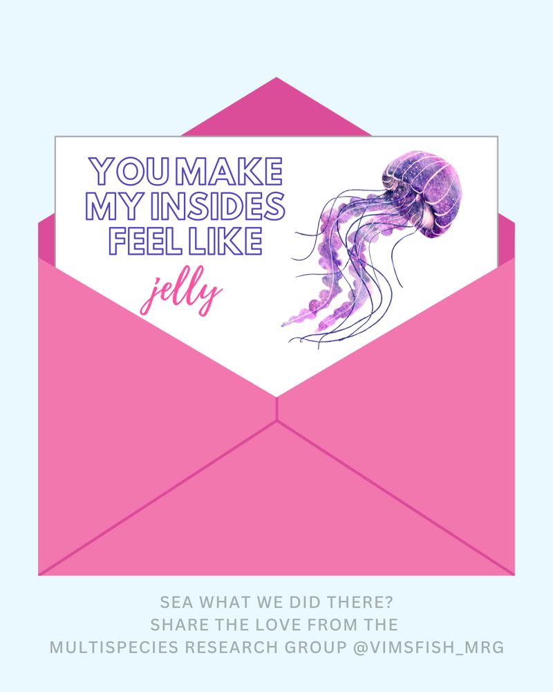 You make my insides feel like jelly