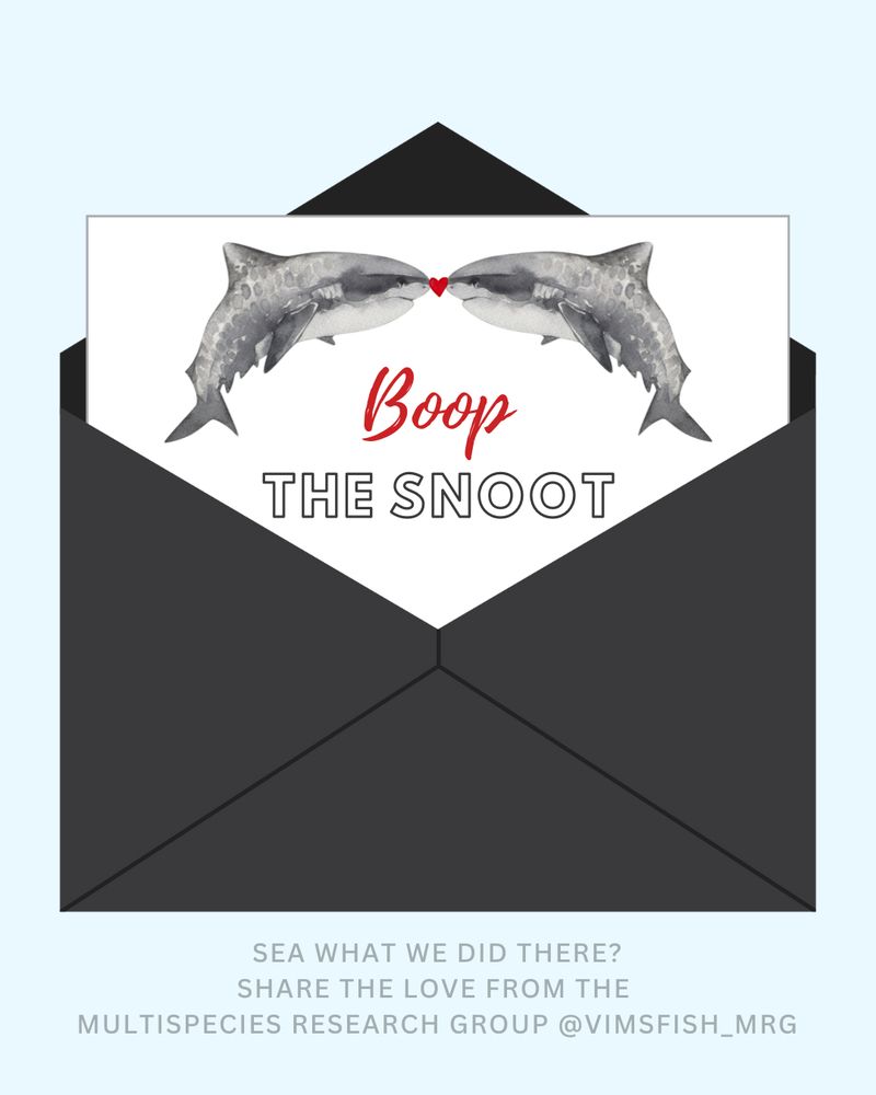 Boop the snoot