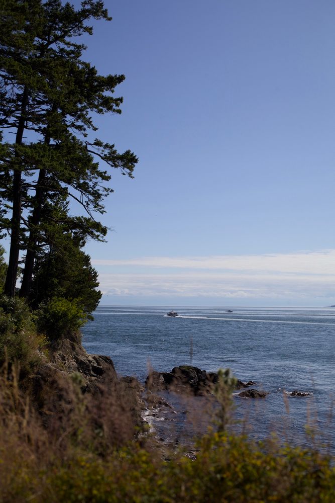A coastline view from Washington Park on Fidalgo Island. Trees line the edge of the land and boats are visible near the horizon.