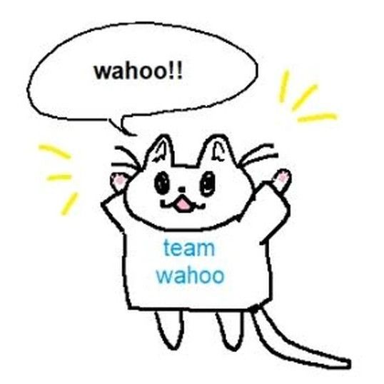 A little drawing of a kitten that's wearing a shirt that says TEAM WAHOO and the kitten also has a speech bubble that says WAHOO!!