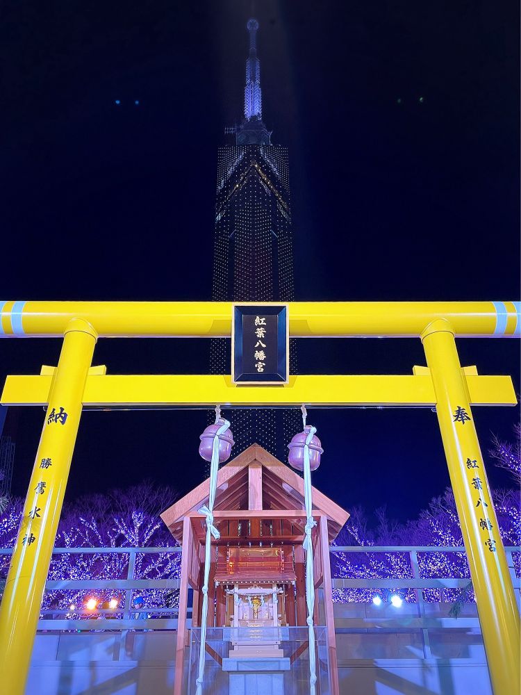 福岡タワー🗼🌙*ﾟ