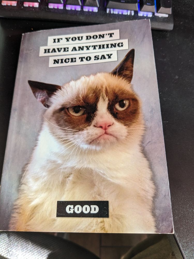 A journal featuring Internet Famous Grumpy Cat with cover text reading "If you don't have anything nice to say, GOOD". 