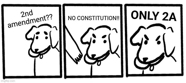 "no take, only throw" meme, but it says "2nd amendment? No constitution!! Only 2A"