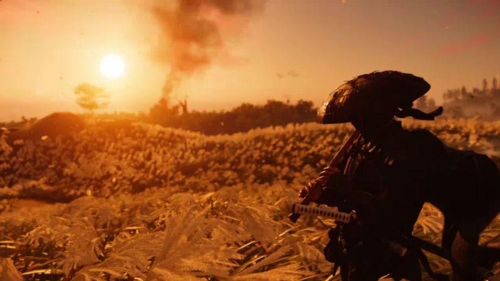 a person holding a sword in a field with the sun behind them