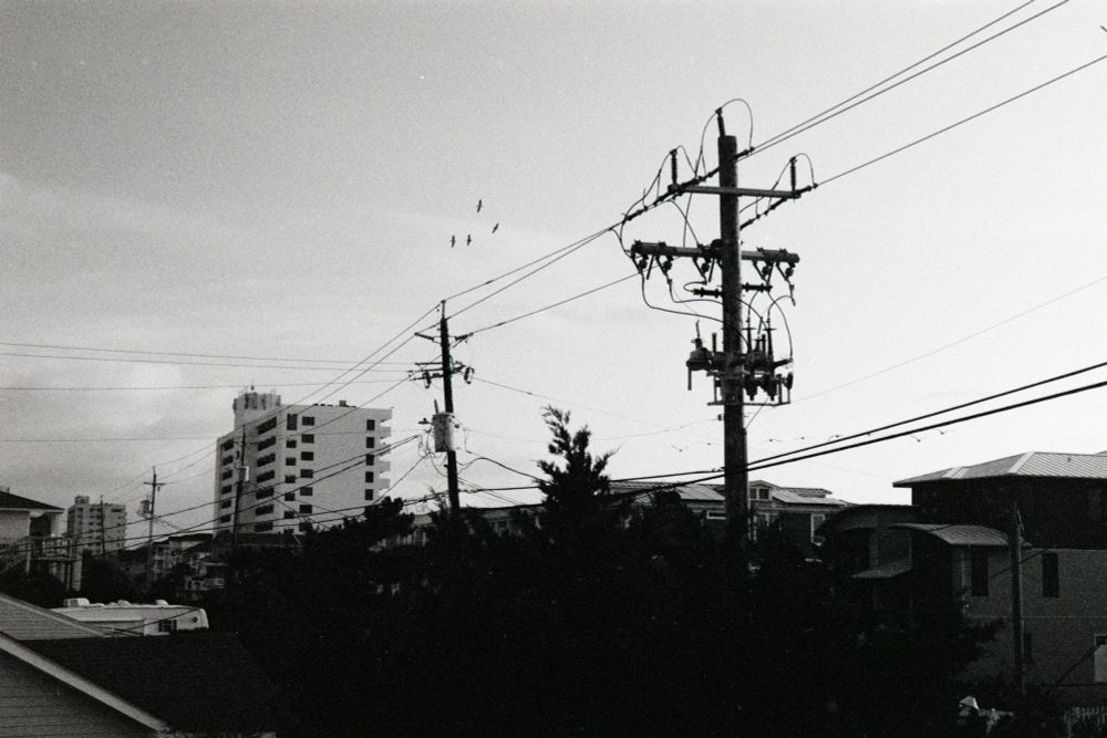 black and white film photo of power lines and buildings contrasted against the sky