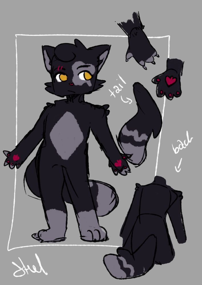 reference picture of Denari, shes a black cat with grey markings on over her left eye and a small scratch over her right eyebrow.