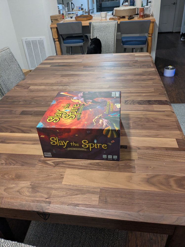 Slay The Spire, table top on