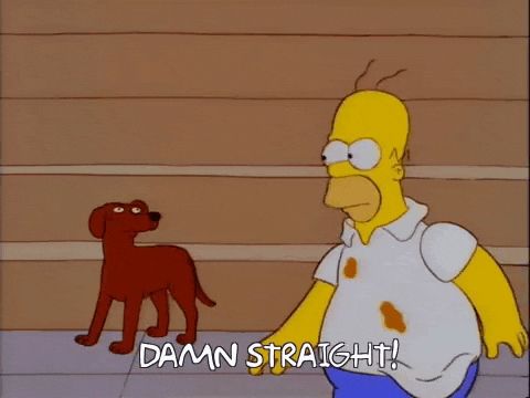 Homer looks at a dog and says Damn Straight. 