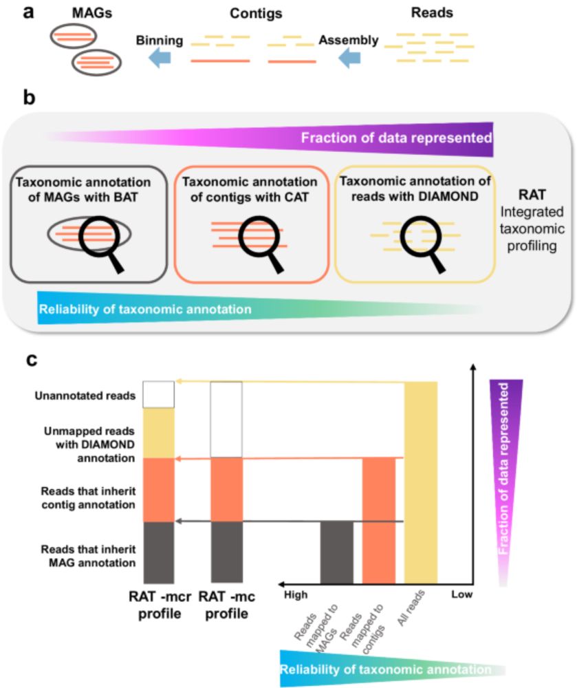 Integrating taxonomic signals from MAGs and contigs improves read annotation and taxonomic profiling of metagenomes - Nature Communications