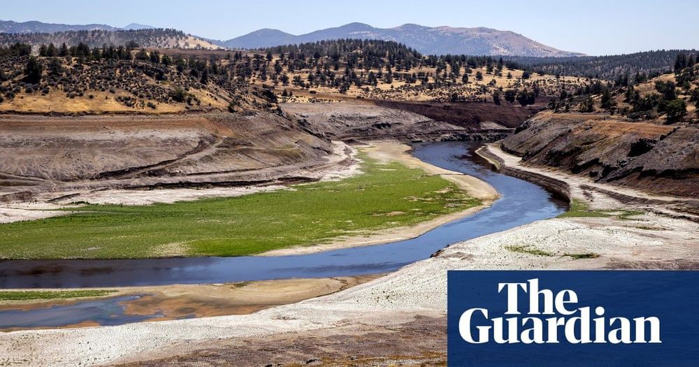 Salmon swim freely in Klamath River for first time in more than 100 years