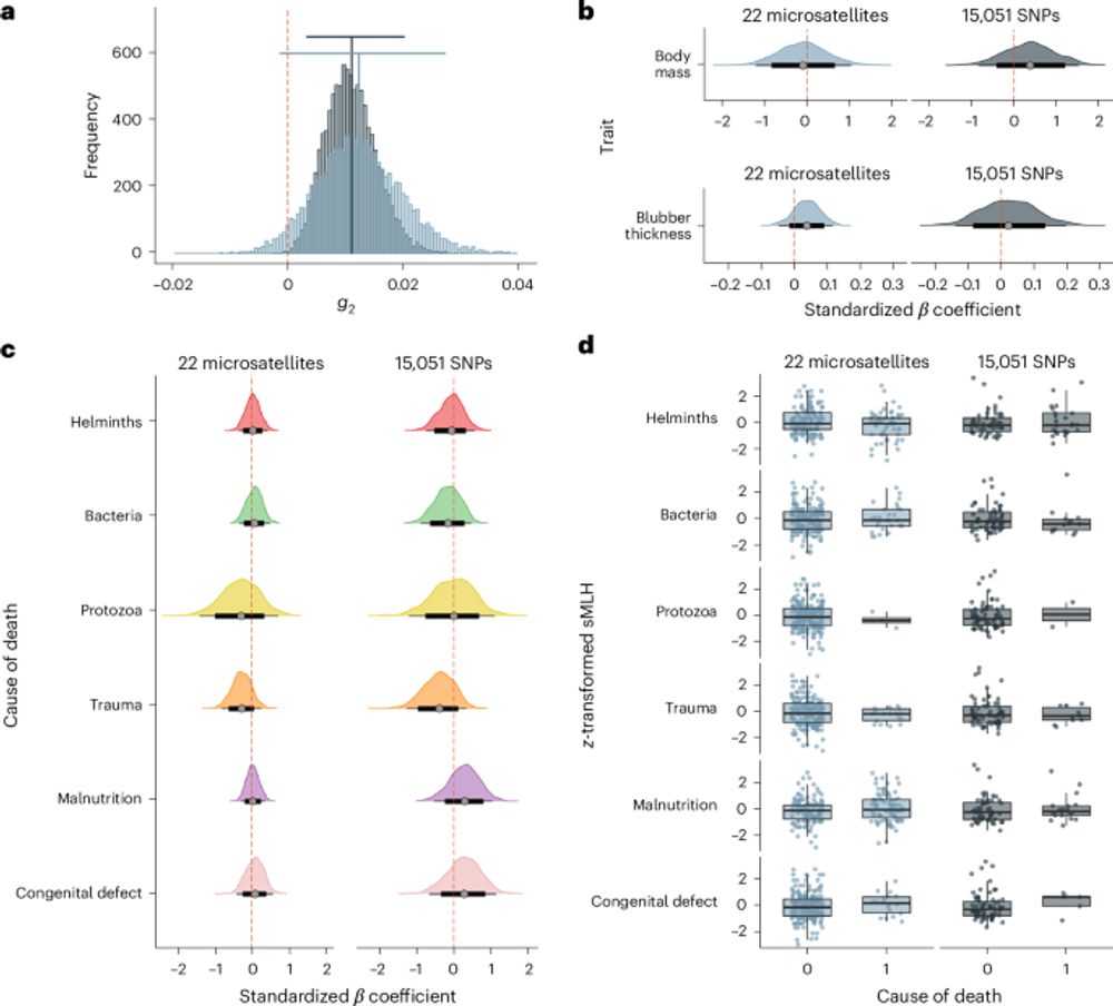 Genomic and fitness consequences of a near-extinction event in the northern elephant seal