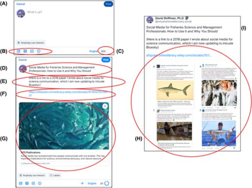 Social media for fisheries science and management professionals: How to use Bluesky and Instagram, and why you should