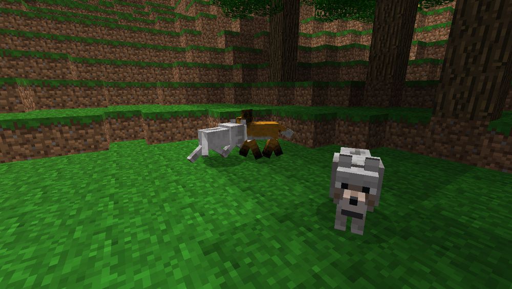 minecraft, fox among two wolves