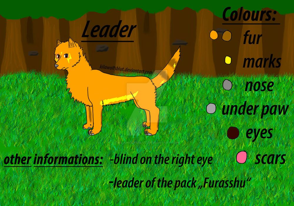 An old reference of Leader, back from 2012. He featured some random dark markings and a lot more flash markings compared to the two you can find in the newest reference