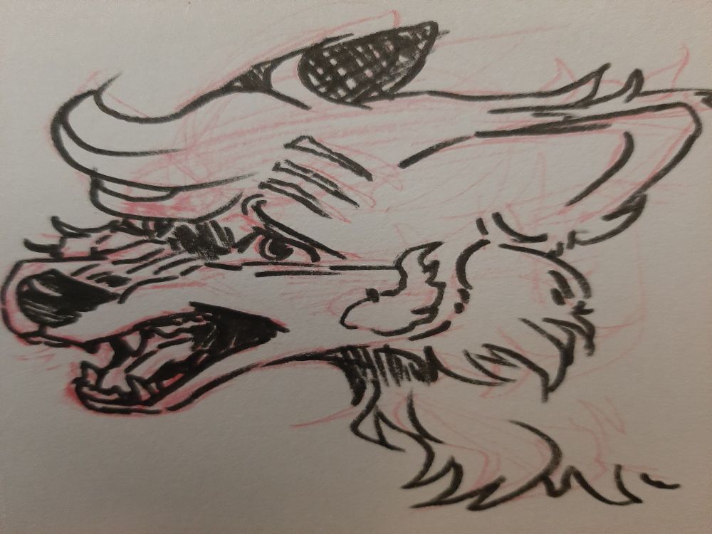 Headshot of Takiro, a dog mix, screaming fearful to something out of frame