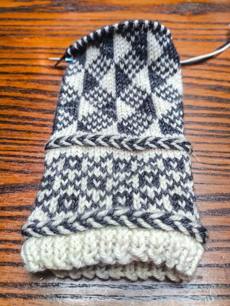 The majority of the body of a mitten-in-progress knit in white wool as the base colour and semi-solid black/charcoal grey wool as the contrast colour. It's knit up to maybe an inch past the thumb gusset. 

The wrist from the bottom up: a small section of 1x1 rib, then a Latvian braid (a knitting technique that carries the yarn in front and twists it around itself to create horizontal "braids" in your knitting), a colourwork section made up of squares with white centres in the middle of diamonds created by a large crosshatch pattern, then another Latvian braid.

The body from the wrist up: a geometric patterns made up of solid black and white alternating vertical half-diamonds with diamonds between them made up of alternating black and white stitches.