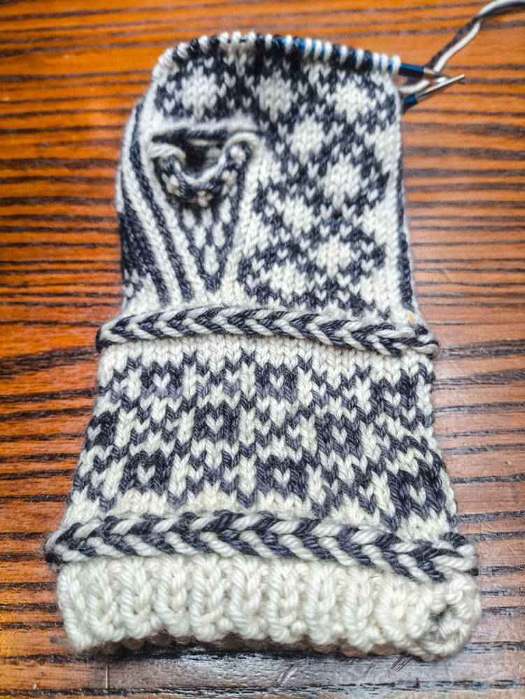 The majority of the body of a mitten-in-progress knit in white wool as the base colour and semi-solid black/charcoal grey wool as the contrast colour. It's knit up to maybe an inch past the thumb gusset. 

The wrist from the bottom up: a small section of 1x1 rib, then a Latvian braid (a knitting technique that carries the yarn in front and twists it around itself to create horizontal "braids" in your knitting), a colourwork section made up of squares with white centres in the middle of diamonds created by a large crosshatch pattern, then another Latvian braid.

The body from the wrist up: a striped black and white triangular thumb gusset on the left of the palm (to fit the left hand), next to a pattern of white diamonds formed by crossed lines of small black pluses. The thumb gusset currently ends with a hole in the work as the thumb will be knit later. Above the thumb gusset the pattern of diamonds and pluses continues across the whole palm.