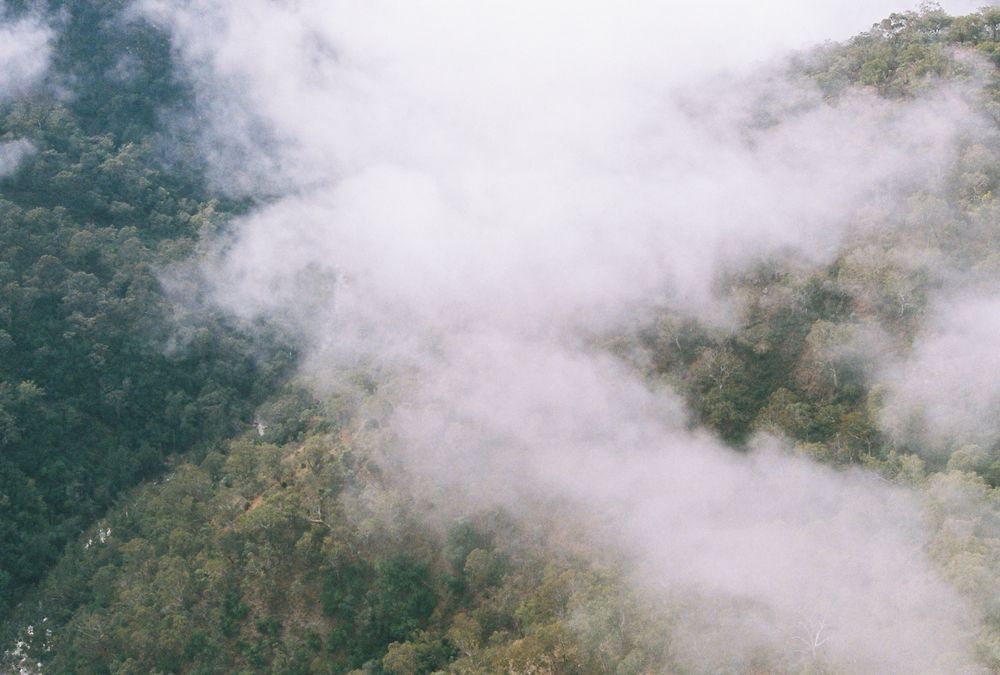 A eucalyptus-clad creek far below, obscured by cloud.