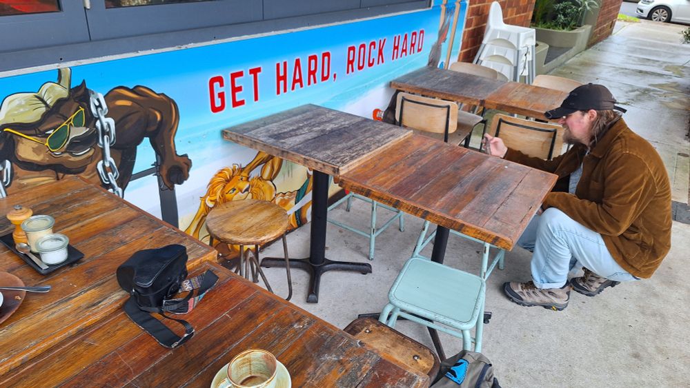 Now the animals are working out. The text reads, "Get Hard, Rock Hard".