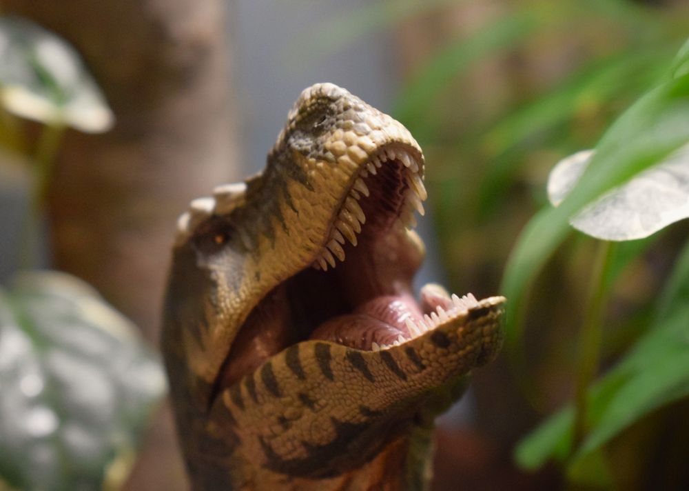 T rex figure with open mouth