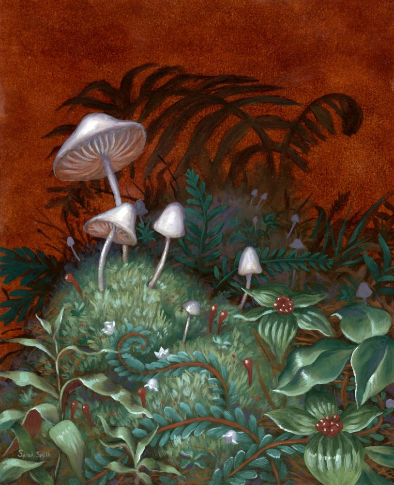 Stylized painting of small plants and white mushrooms on a mossy hill. The color scheme is greenish blue and rusty red. 