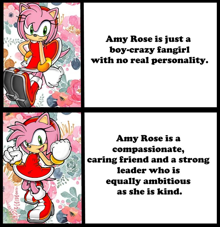 First part of the picture is a dejected/frustrated looking Amy next to the text, "Amy Rose is just a boy-crazy fangirl with no real personality." 

The second part of the picture is a happy Amy next to the text, "Amy Rose is a compassionate, caring friend and a strong leader who is equally ambitious as she is kind." 