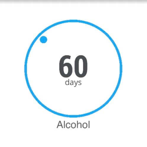 An alcohol sobriety clock showing 60 days