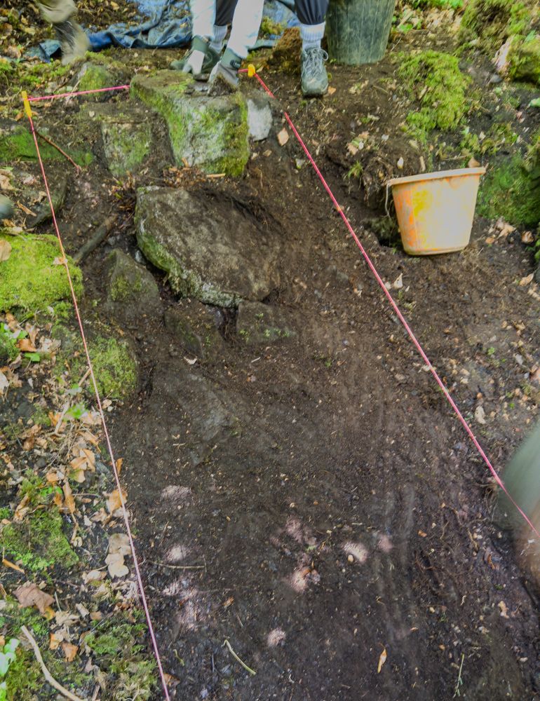 The rectangular trench cleared of vegetation and marked out with red string.