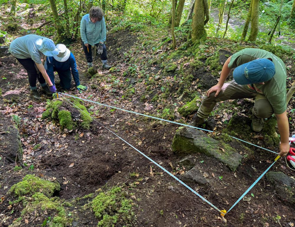 Four people in an area of woodland using a blue measuring tape to mark out a trench.