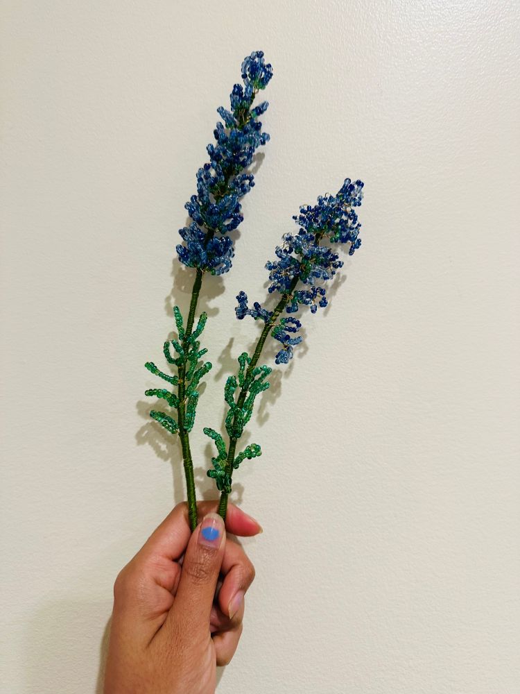 Two sprigs of French beaded lavender