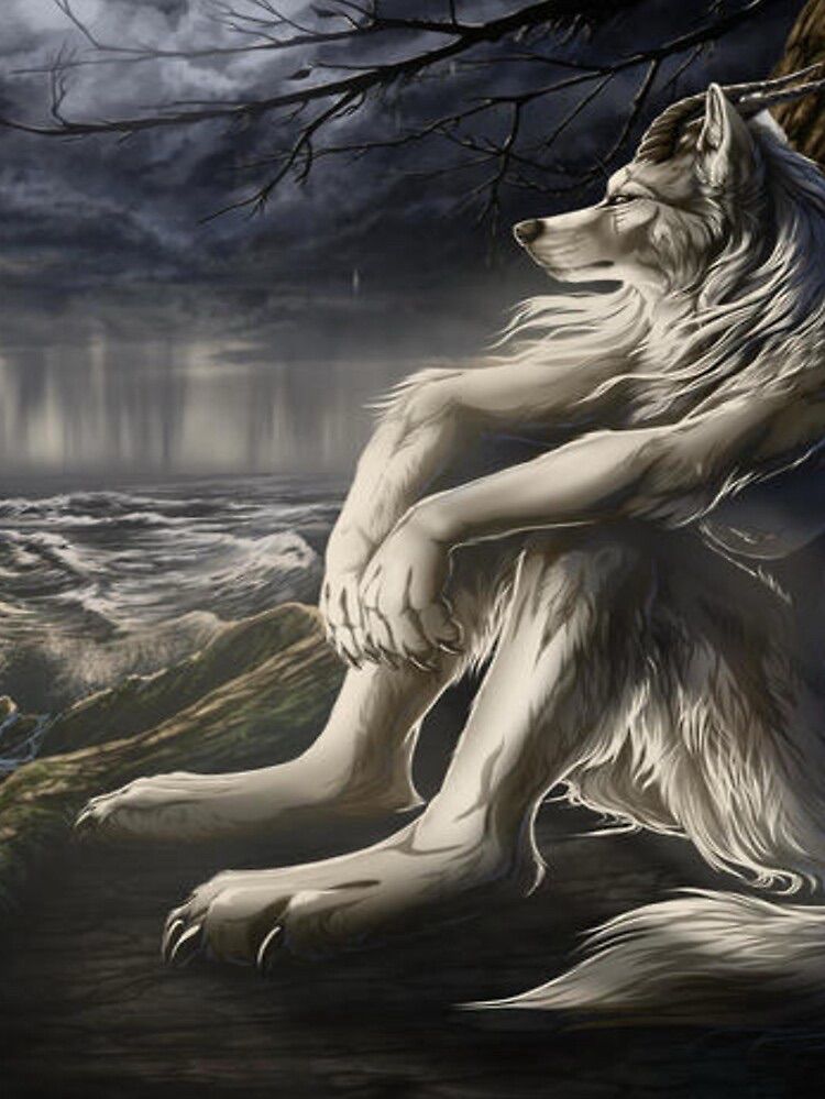 contemplative wolf looking into the distance 