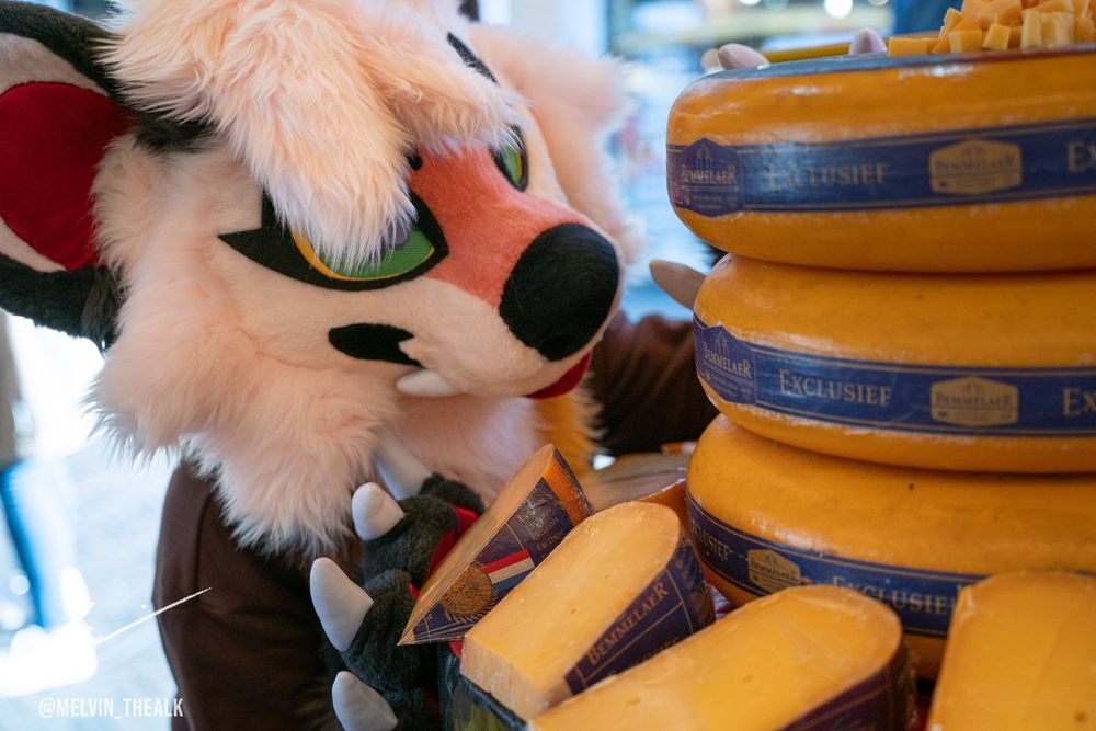 A marten fursuiter stands next to a stack of cheese wheels and wedges.