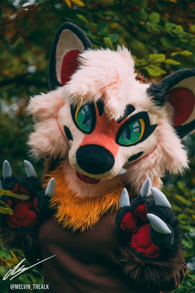 A picture of a marten fursuiter.