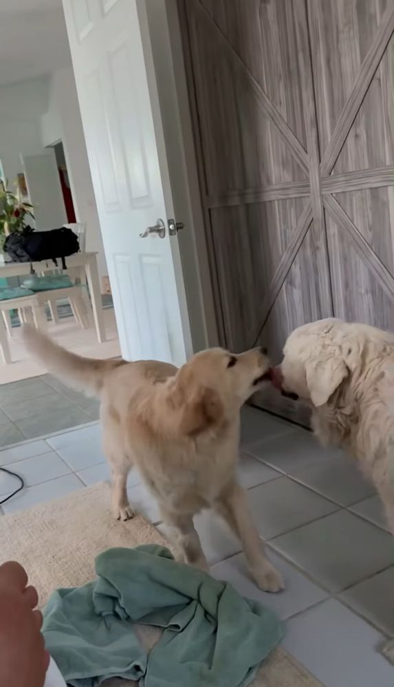 Brody stands in the bedroom, allowing Ella to once again cover his face in kisses. He tolerates it quite well!