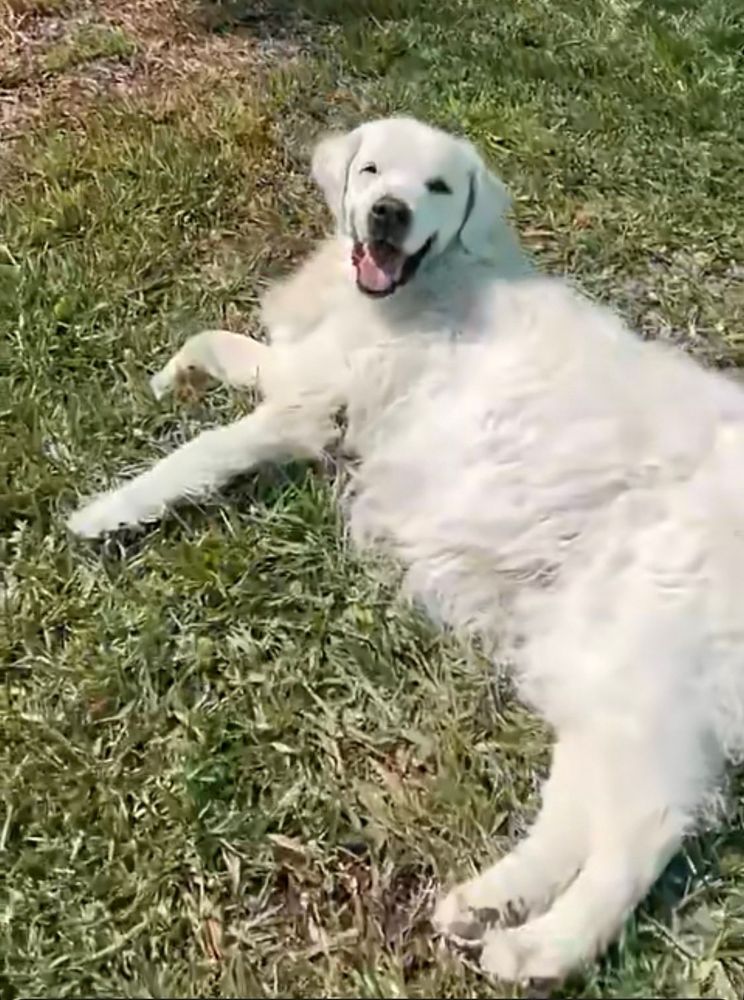Brody is smiling at you no matter what!