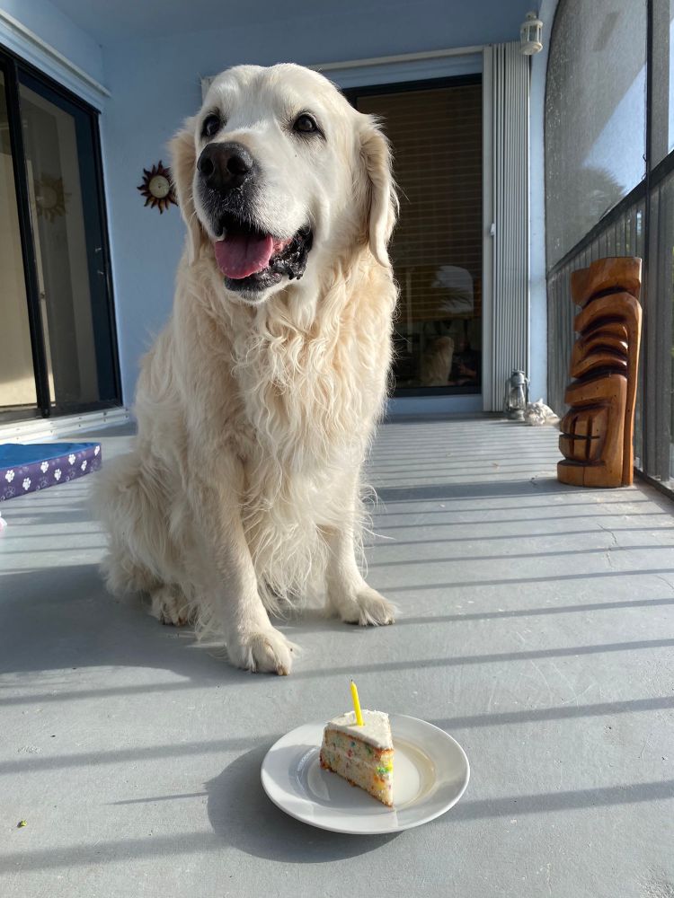 It’s Brody’s first birthday with the squad and he’s sitting on the porch with a slice of cake with a candle and a beaming smile on his face. Life is good!