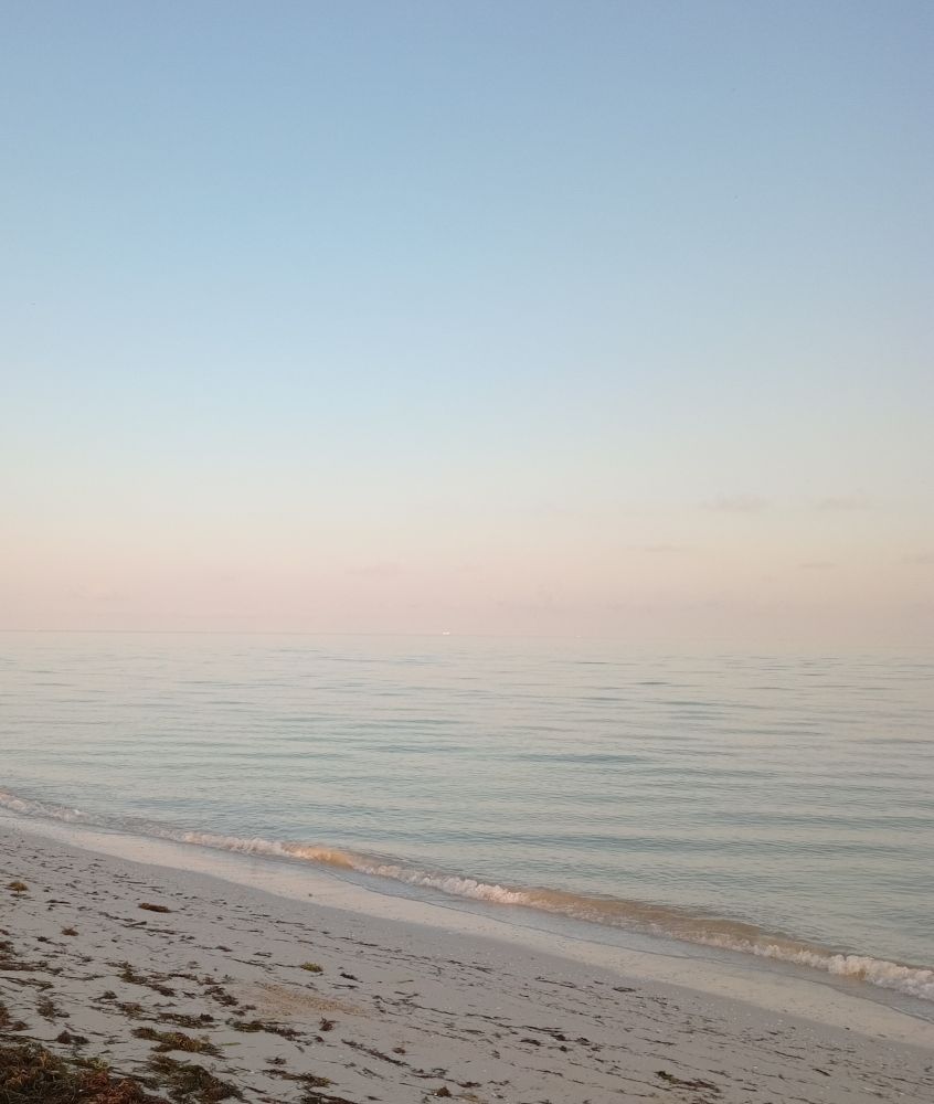A pale blue and pink misty dawn skyline over a flat calm sea. Sand and sea weed on the shore in the foreground.